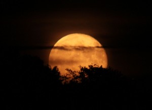 Den 6. september 2014 vender mennesker over hele verden blikket mod vores smukke nabo og følgesvend - Månen, når International Observe The Moon Night markeres.
